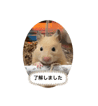 のびのび坊ちゃんスタンプ（個別スタンプ：5）