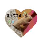 のびのび坊ちゃんスタンプ（個別スタンプ：7）