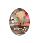 のびのび坊ちゃんスタンプ（個別スタンプ：8）