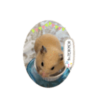 のびのび坊ちゃんスタンプ（個別スタンプ：9）
