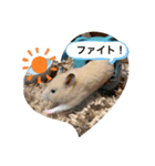 のびのび坊ちゃんスタンプ（個別スタンプ：14）