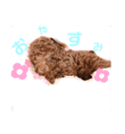 まるじろうです（個別スタンプ：3）