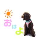 まるじろうです（個別スタンプ：4）