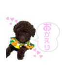 まるじろうです（個別スタンプ：5）