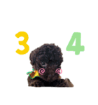 まるじろうです（個別スタンプ：16）