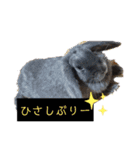 チビ太と仲間（個別スタンプ：3）