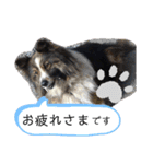 チビ太と仲間（個別スタンプ：7）