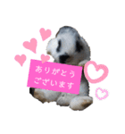 チビ太と仲間（個別スタンプ：11）