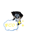 チビ太と仲間（個別スタンプ：22）