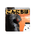 我が家の4匹ねこズ。ver.2（個別スタンプ：34）