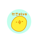 とりpiyo（個別スタンプ：11）