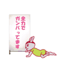 Rabbit is so cool（個別スタンプ：2）