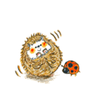 ころっとはりねずみ（個別スタンプ：39）