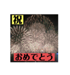 実写花火で挨拶②（個別スタンプ：11）