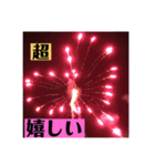 実写花火で挨拶②（個別スタンプ：14）