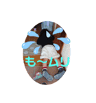 意外と使うやつ（個別スタンプ：1）