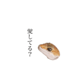 Haku boy（個別スタンプ：7）