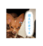 うぃるくんすたんぷ（個別スタンプ：1）