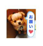 うぃるくんすたんぷ（個別スタンプ：2）