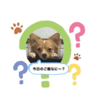 うぃるくんすたんぷ（個別スタンプ：3）