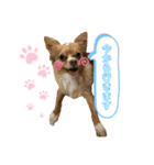 うぃるくんすたんぷ（個別スタンプ：4）