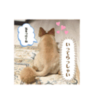 うぃるくんすたんぷ（個別スタンプ：5）