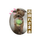 うぃるくんすたんぷ（個別スタンプ：6）