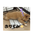 うぃるくんすたんぷ（個別スタンプ：8）