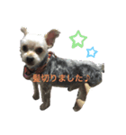 ラッキー＆ハッピーの日常プラス（個別スタンプ：3）