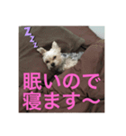 ラッキー＆ハッピーの日常プラス（個別スタンプ：4）