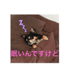 ラッキー＆ハッピーの日常プラス（個別スタンプ：5）
