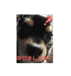 ラッキー＆ハッピーの日常プラス（個別スタンプ：7）