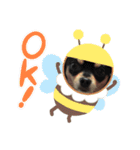 ラッキー＆ハッピーの日常プラス（個別スタンプ：8）