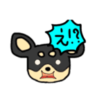 ラッキー＆ハッピーの日常プラス（個別スタンプ：13）