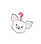 ラッキー＆ハッピーの日常プラス（個別スタンプ：15）