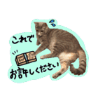 うちの犬と猫スタンプ（個別スタンプ：21）