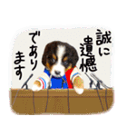 うちの犬と猫スタンプ（個別スタンプ：23）