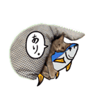 うちの犬と猫スタンプ（個別スタンプ：38）