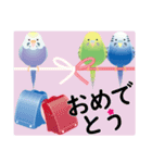 インコトリ尾【お祝い編】（個別スタンプ：6）