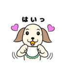 ぴこぴこパピーの お祝いと日常（個別スタンプ：12）