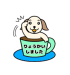 ぴこぴこパピーの お祝いと日常（個別スタンプ：13）