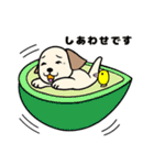 ぴこぴこパピーの お祝いと日常（個別スタンプ：15）