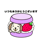 ぴこぴこパピーの お祝いと日常（個別スタンプ：17）