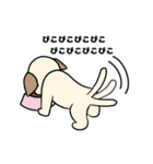 ぴこぴこパピーの お祝いと日常（個別スタンプ：34）