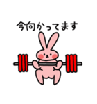 元気いっぱい！すこやかうさぎ（個別スタンプ：14）