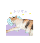 おかかちゃんのスタンプ（個別スタンプ：2）