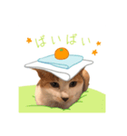 おかかちゃんのスタンプ（個別スタンプ：5）