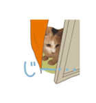 おかかちゃんのスタンプ（個別スタンプ：8）