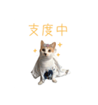 おかかちゃんのスタンプ（個別スタンプ：15）