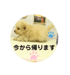 横田のもみじ君（個別スタンプ：3）